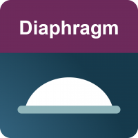 Effectiveness ★★★ Birth Control | Diaphragm