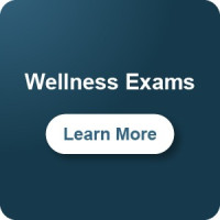 Wellness Exams